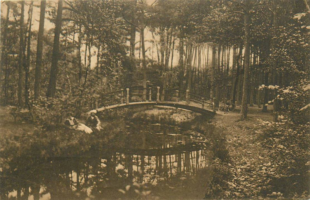 Driebergen-Rijsenburg Bruggetje in t Bosch