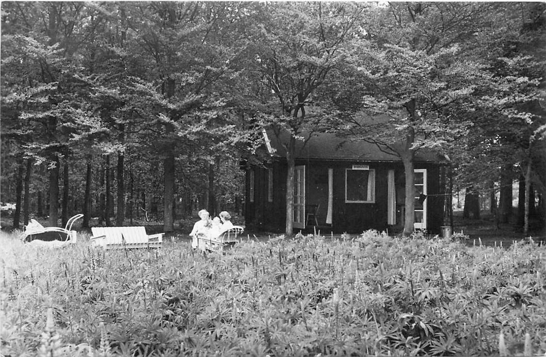 Driebergen-Rijsenburg Het Grote Bos