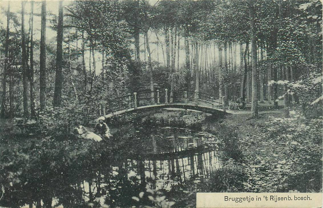 Driebergen-Rijsenburg Bruggetje in het Bosch