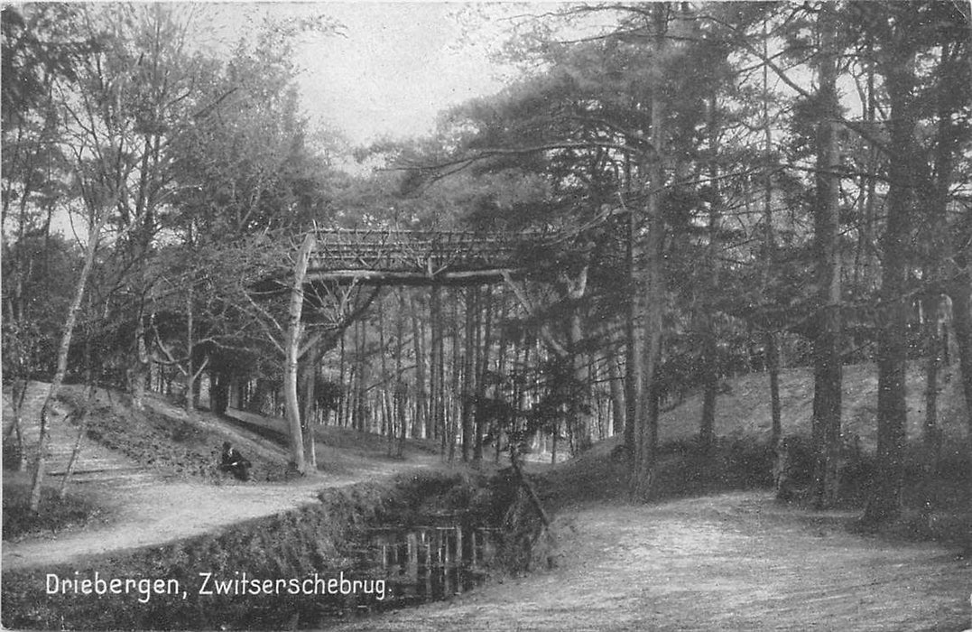 Driebergen-Rijsenburg Zwitserschebrug