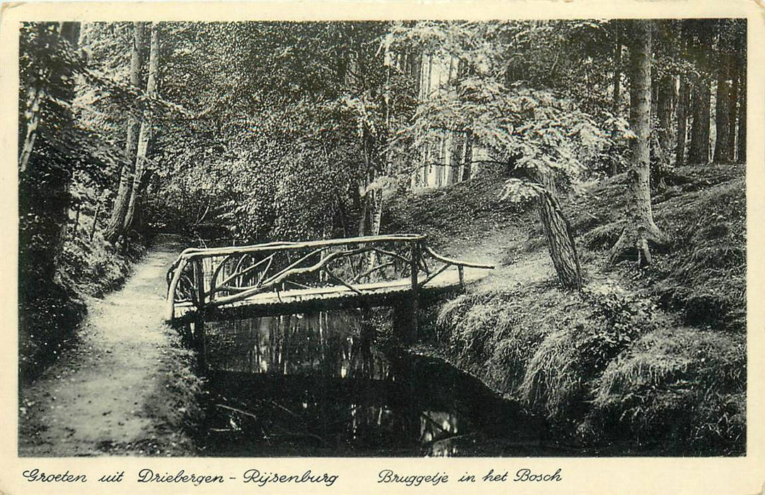 Driebergen-Rijsenburg Bruggetje in het Bosch