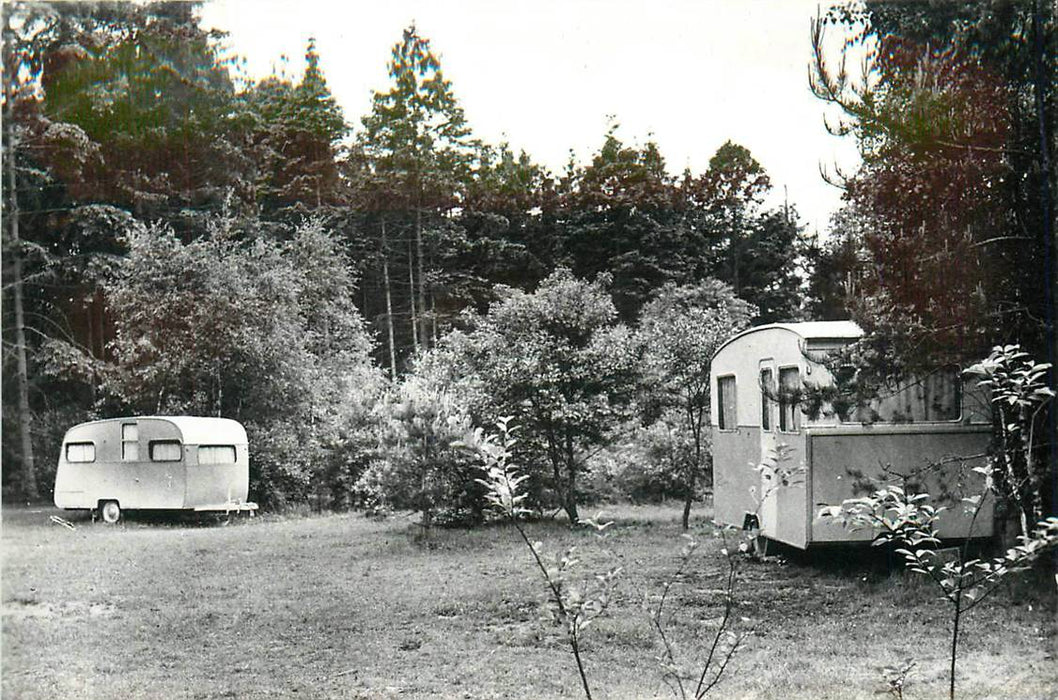 Doorn Het Grote Bos