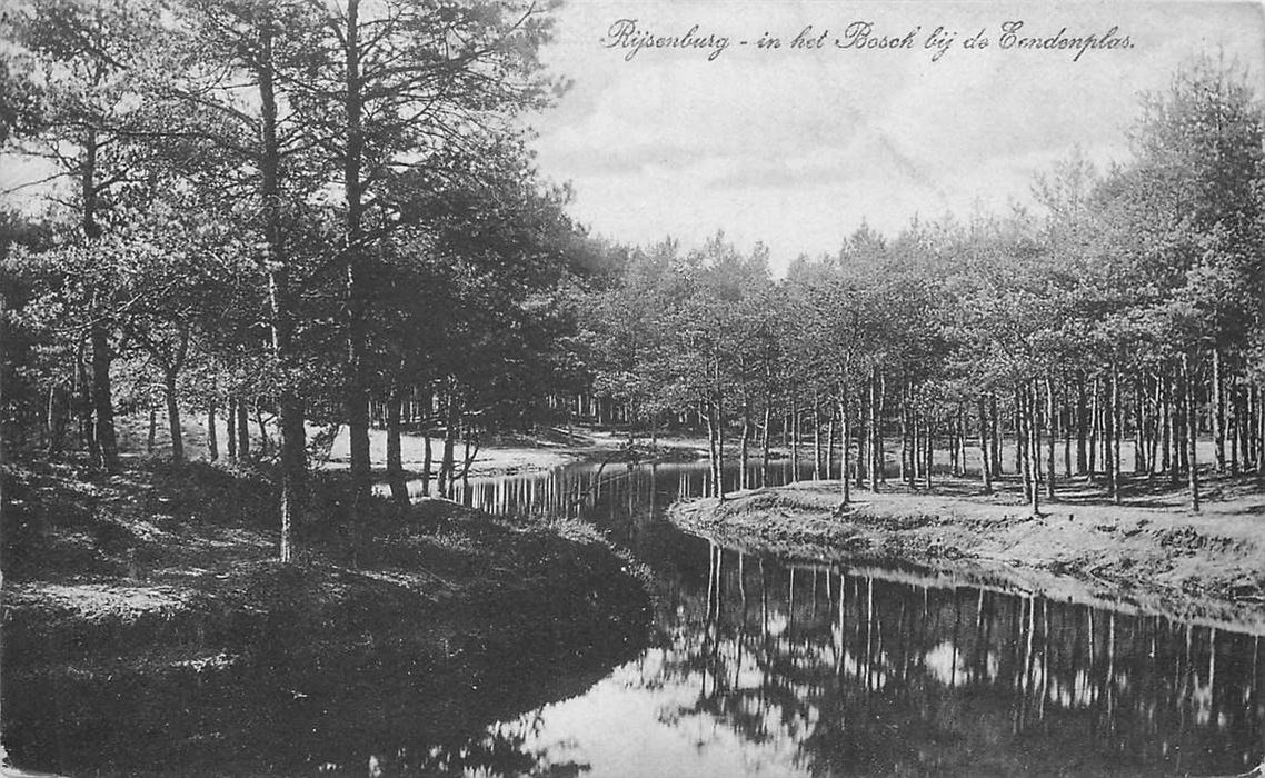 Driebergen-Rijsenburg In het Bosch