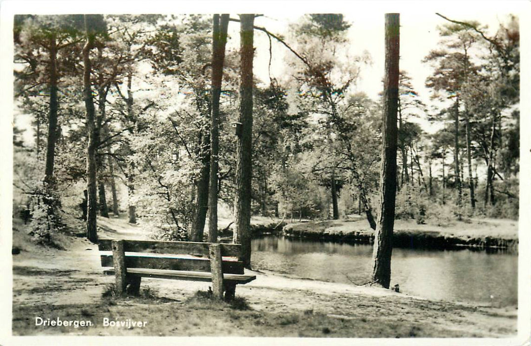 Driebergen-Rijsenburg Bosvijver