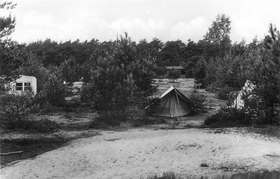 Doorn Het Grote Bos