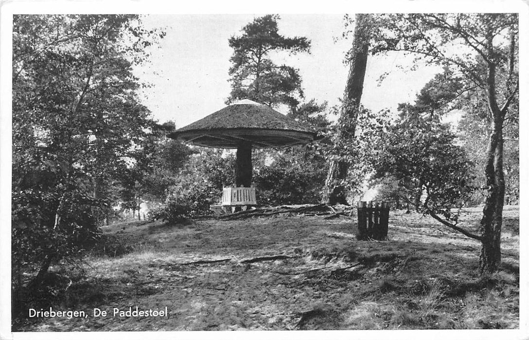 Driebergen-Rijsenburg De Paddenstoel