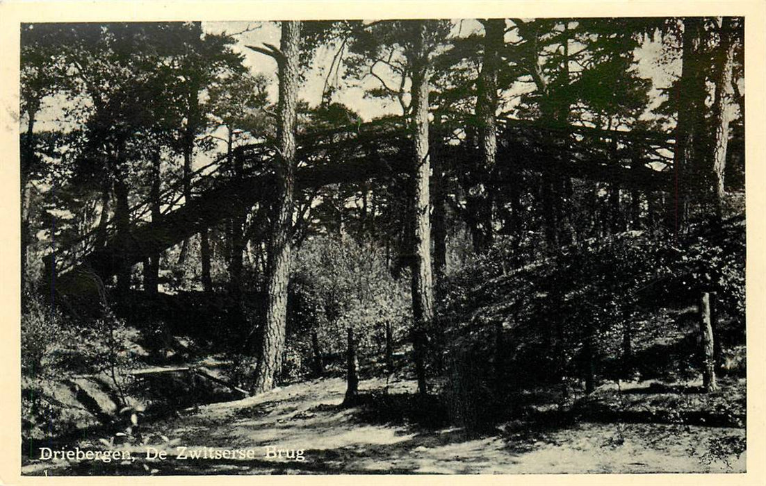 Driebergen-Rijsenburg Zwitserse Brug