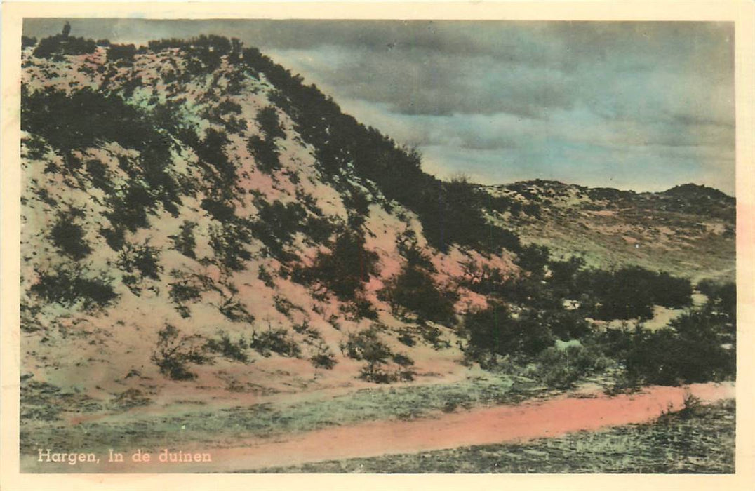 Hargen in de duinen