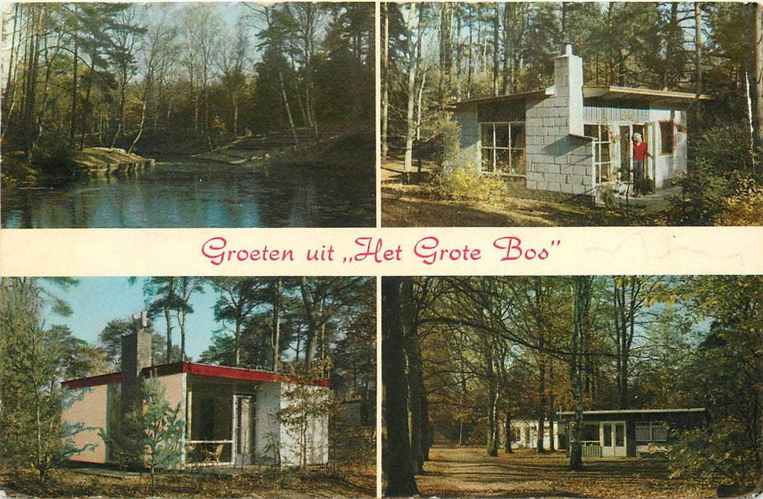 Doorn Het Grote Bos