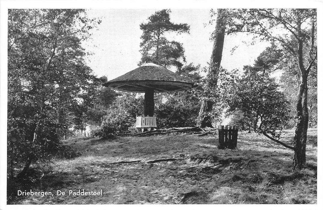 Driebergen-Rijsenburg De Paddenstoel