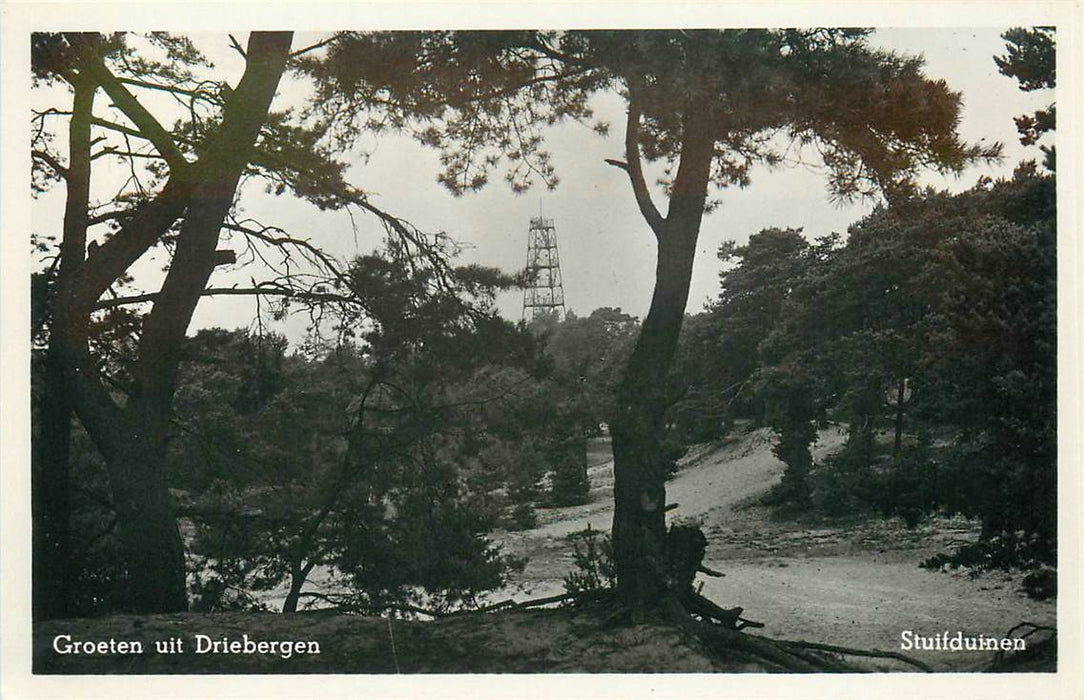 Driebergen-Rijsenburg Stuifduinen