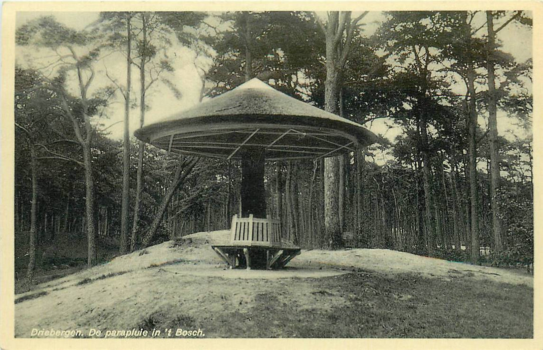 Driebergen-Rijsenburg De Parapluie in t Bosch