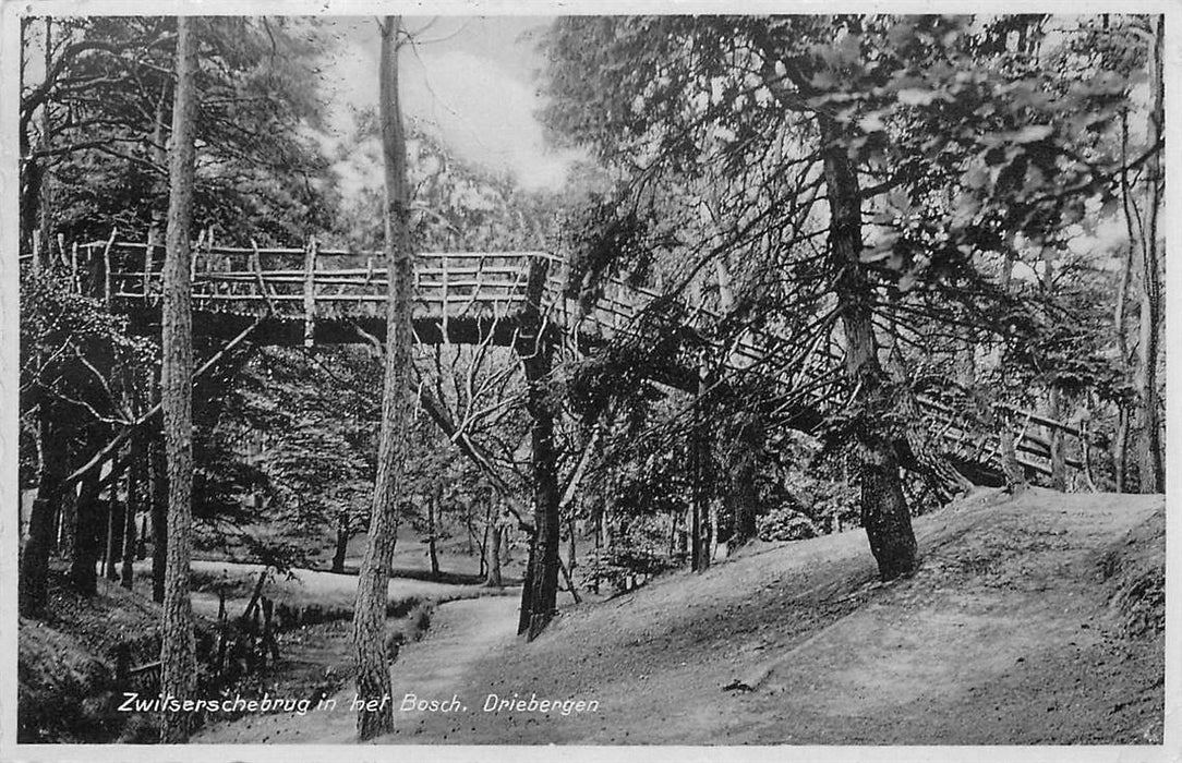 Driebergen-Rijsenburg Zwitserschebrug