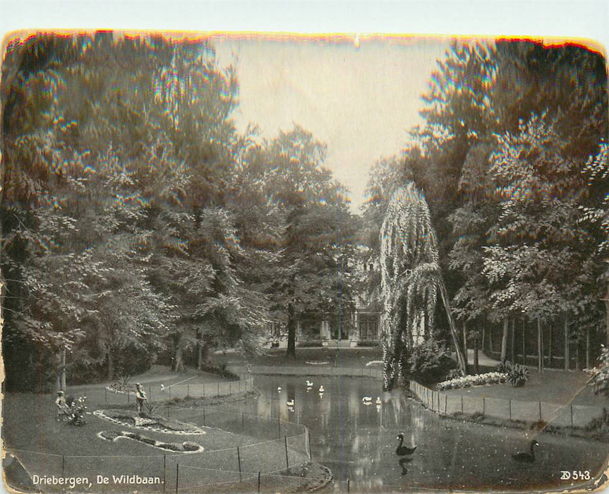 Driebergen-Rijsenburg De Wildbaan