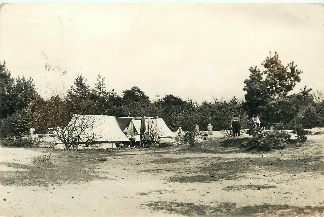 Doorn Het Grote Bos