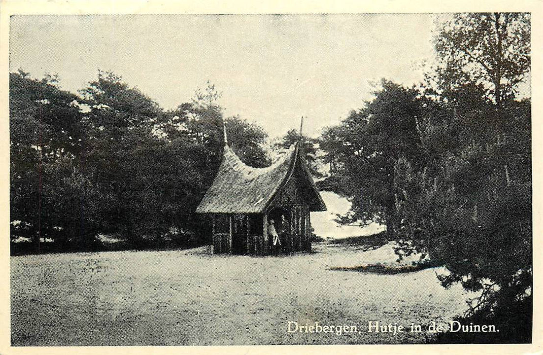 Driebergen-Rijsenburg Hutje in de duinen