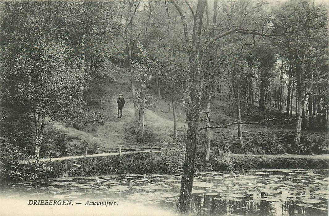 Driebergen-Rijsenburg Acaciavijver