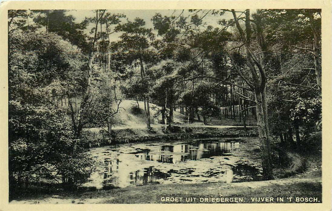 Driebergen-Rijsenburg Vijver in t Bosch