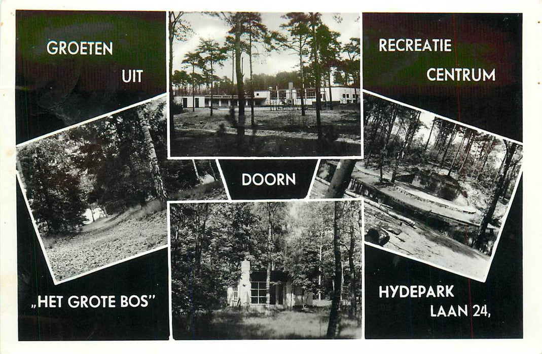 Doorn Het Grote Bos