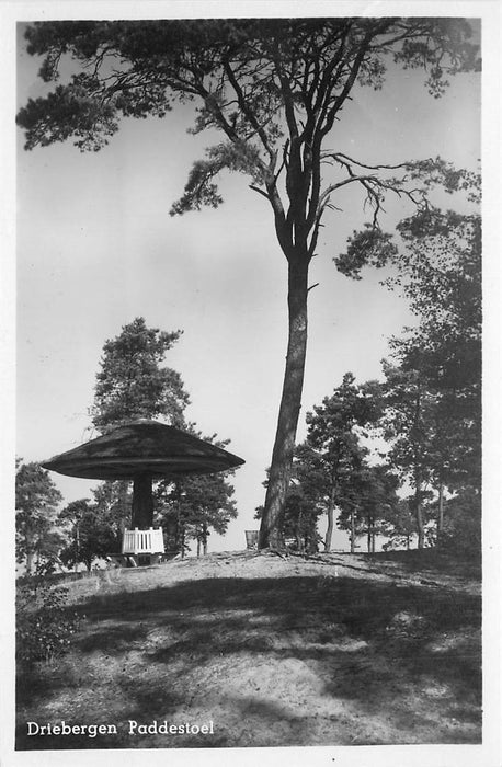 Driebergen-Rijsenburg Paddenstoel