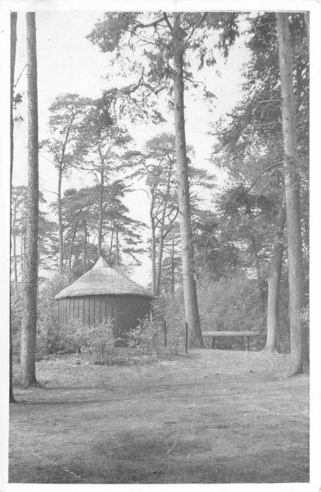 Driebergen-Rijsenburg Rijsenburgsebos