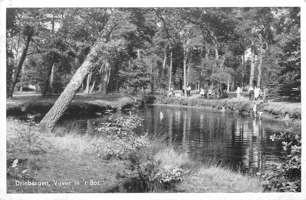 Driebergen-Rijsenburg Vijver in t Bos