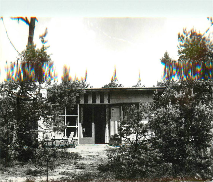 Doorn Het Grote Bos