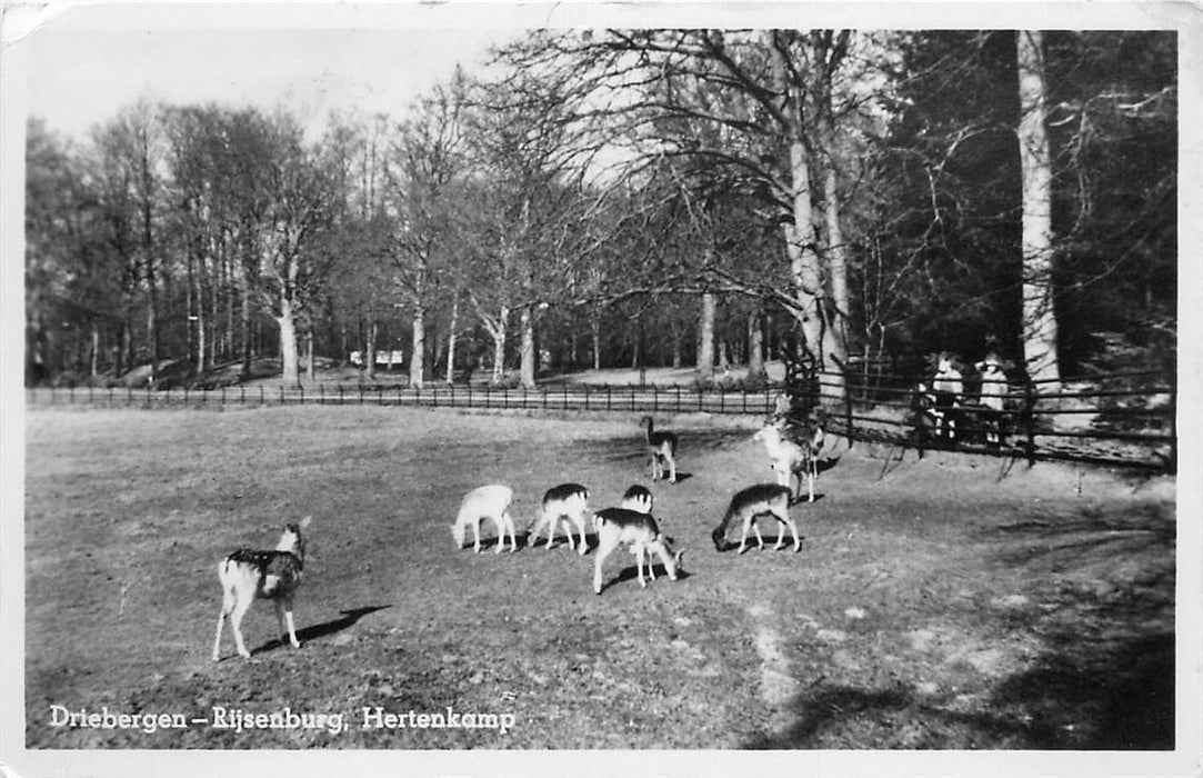 Driebergen-Rijsenburg Hertenkamp