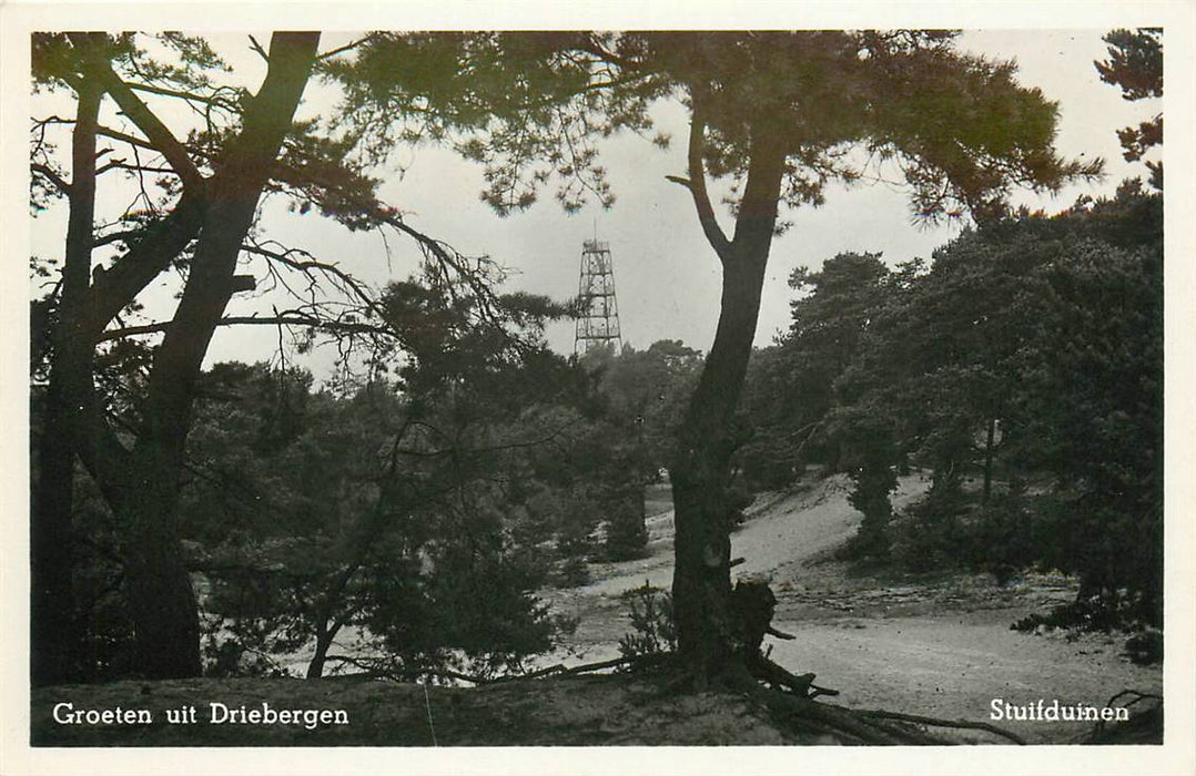 Driebergen-Rijsenburg Stuifduinen