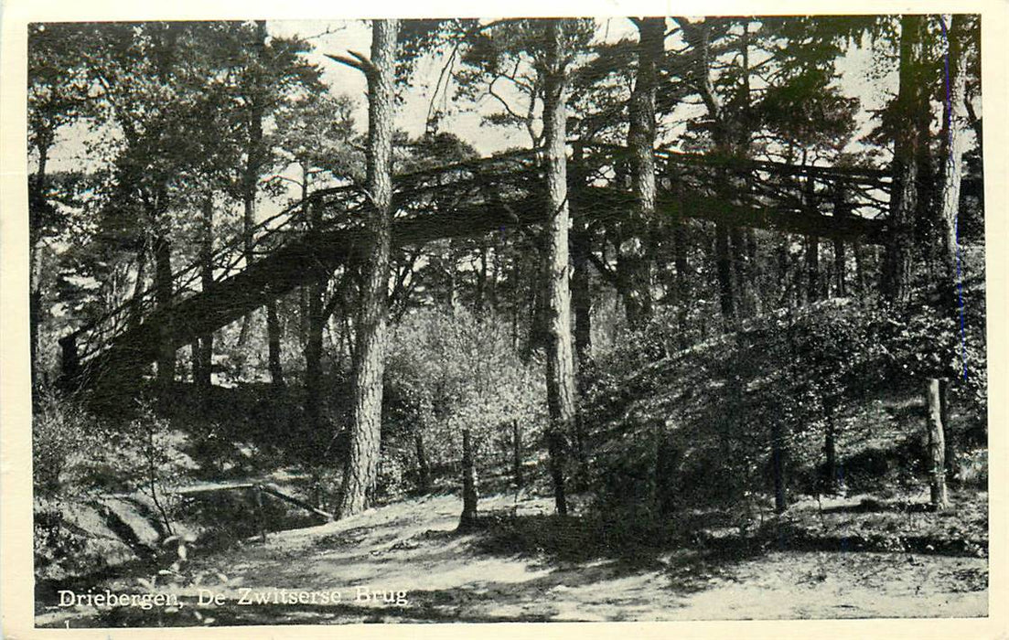 Driebergen-Rijsenburg De Zwitserse Brug