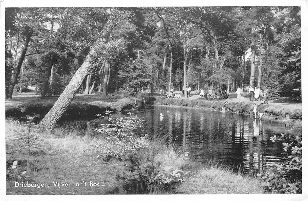 Driebergen-Rijsenburg Vijver in t Bos