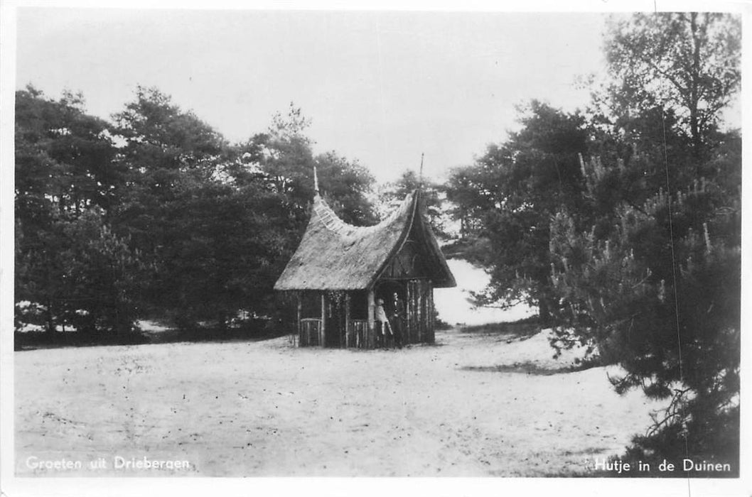 Driebergen-Rijsenburg Hutje in de duinen