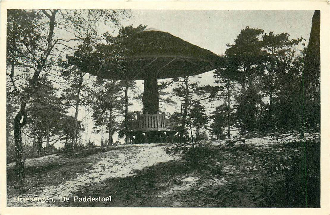 Driebergen-Rijsenburg Paddenstoel