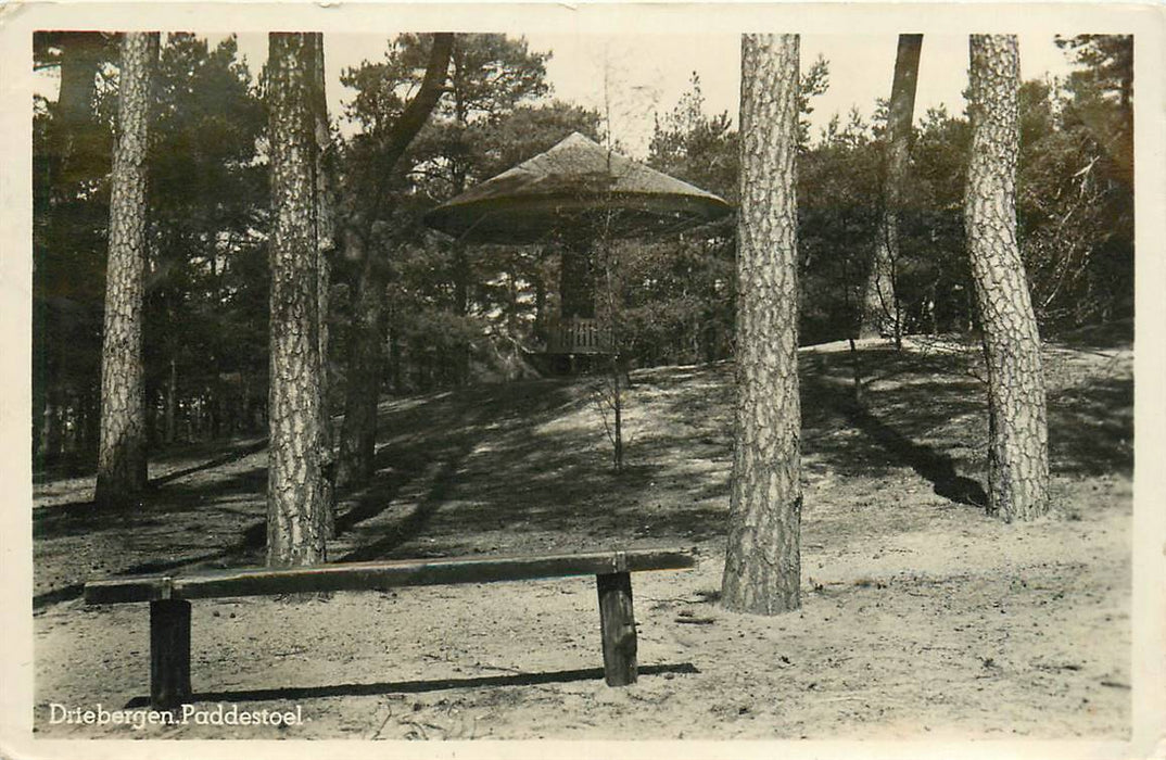 Driebergen-Rijsenburg Paddenstoel