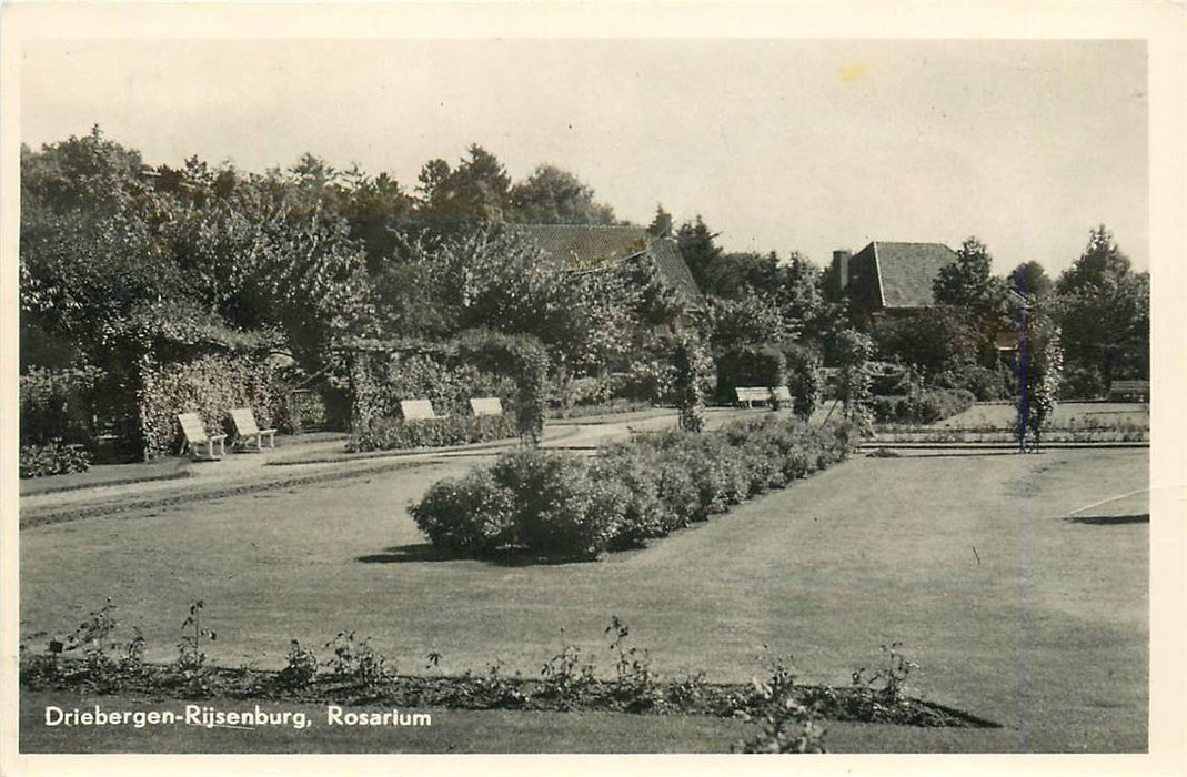 Driebergen-Rijsenburg Rosarium