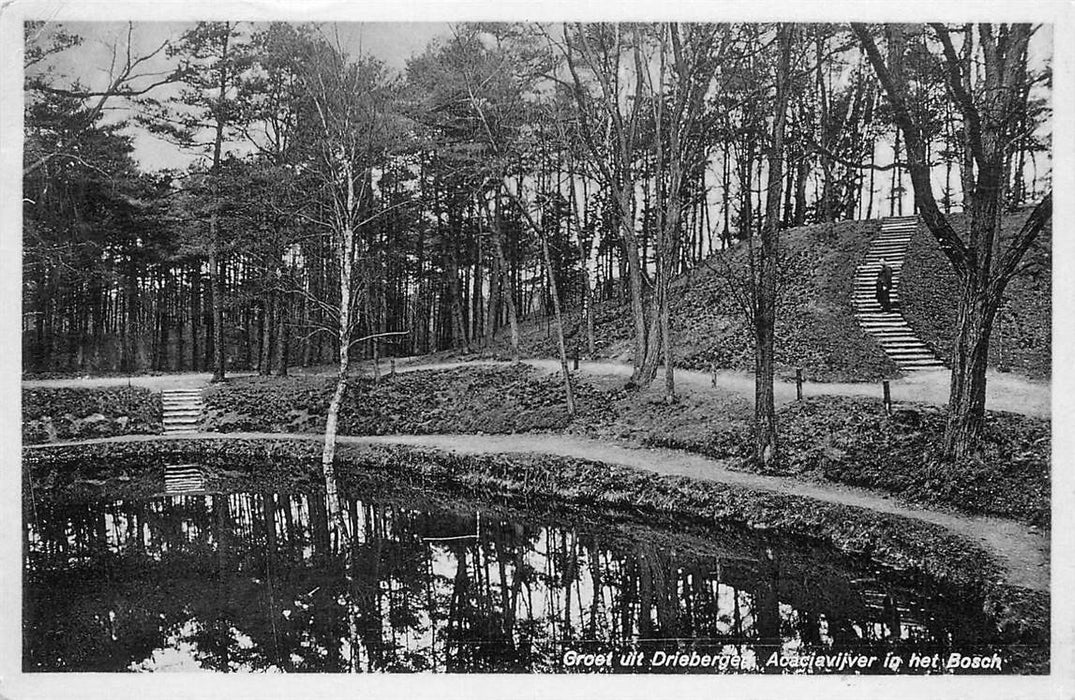 Driebergen-Rijsenburg Acaciavijver