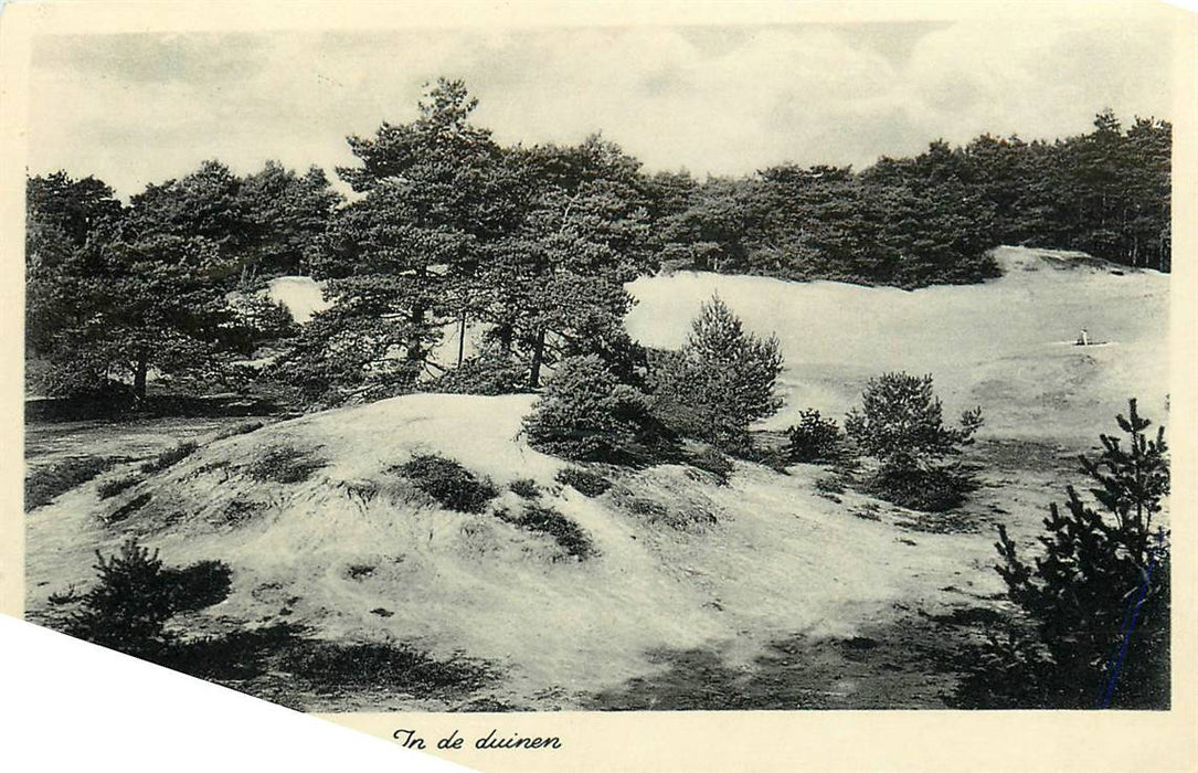 Nederland In de duinen
