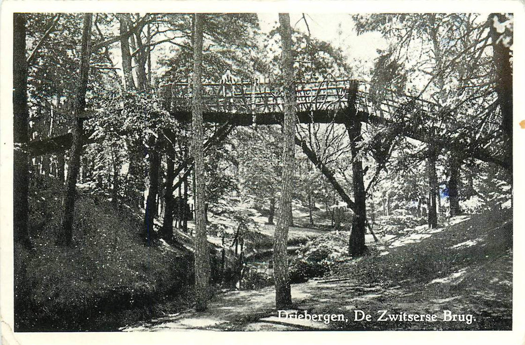 Driebergen-Rijsenburg De Zwitserse Brug