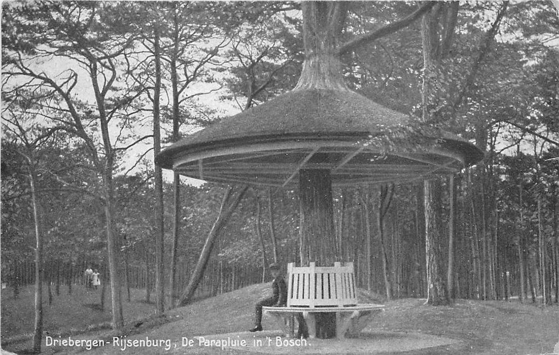 Driebergen-Rijsenburg De Parapluie in t Bosch