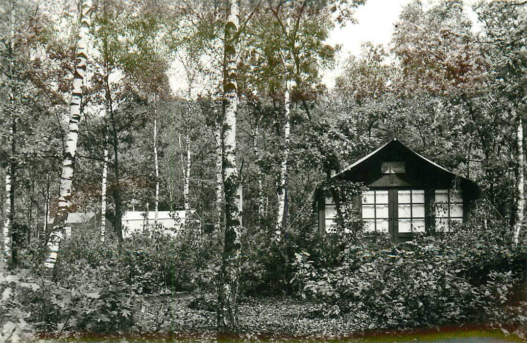 Doorn Het Grote Bos