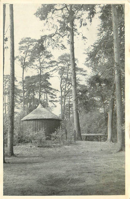 Driebergen-Rijsenburg Rijsenburgsebos