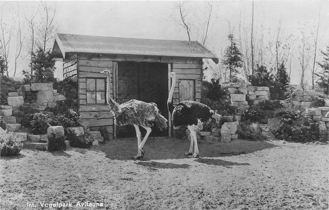 Alphen aan den Rijn Avifauna