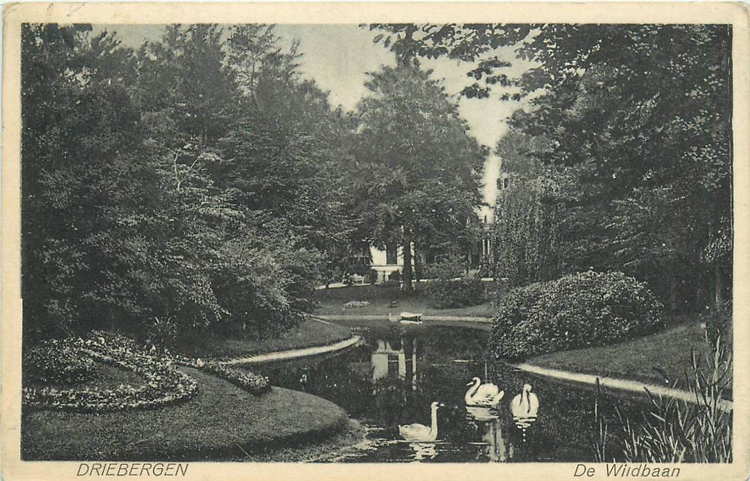 Driebergen-Rijsenburg De Wildbaan