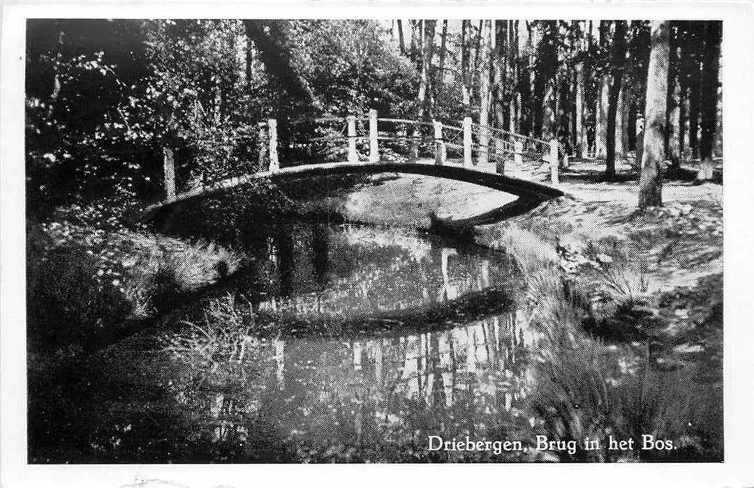 Driebergen-Rijsenburg Brug in het Bos