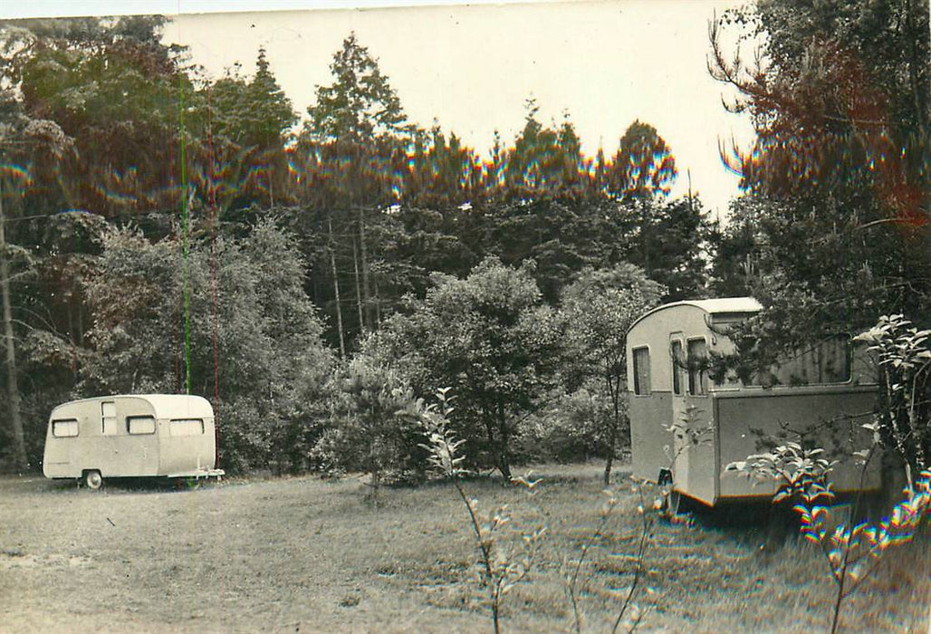 Doorn Het Grote Bos