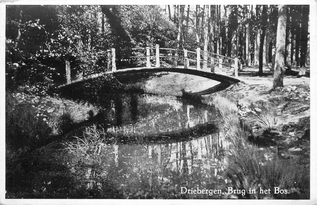 Driebergen-Rijsenburg Brug in het Bos