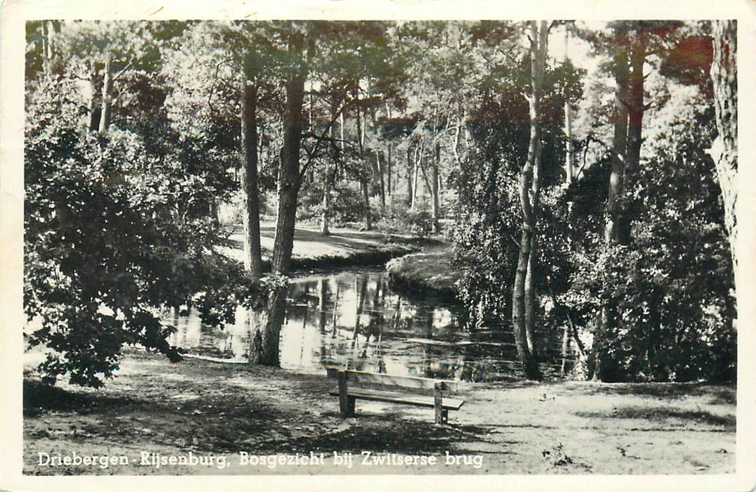 Driebergen-Rijsenburg Bosgezicht bij Zwitserse brug