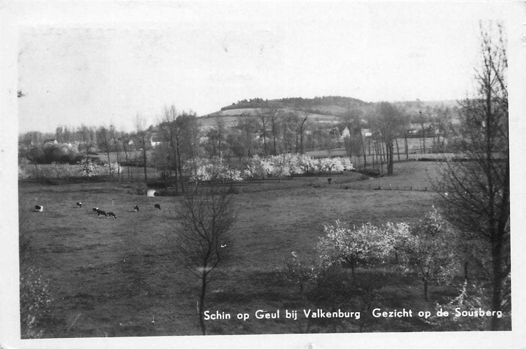 Schin op Geul Gezicht op de Sousberg