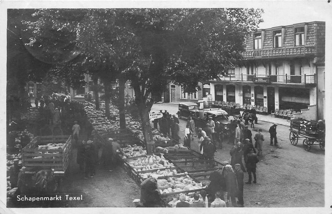 Texel Schapenmarkt