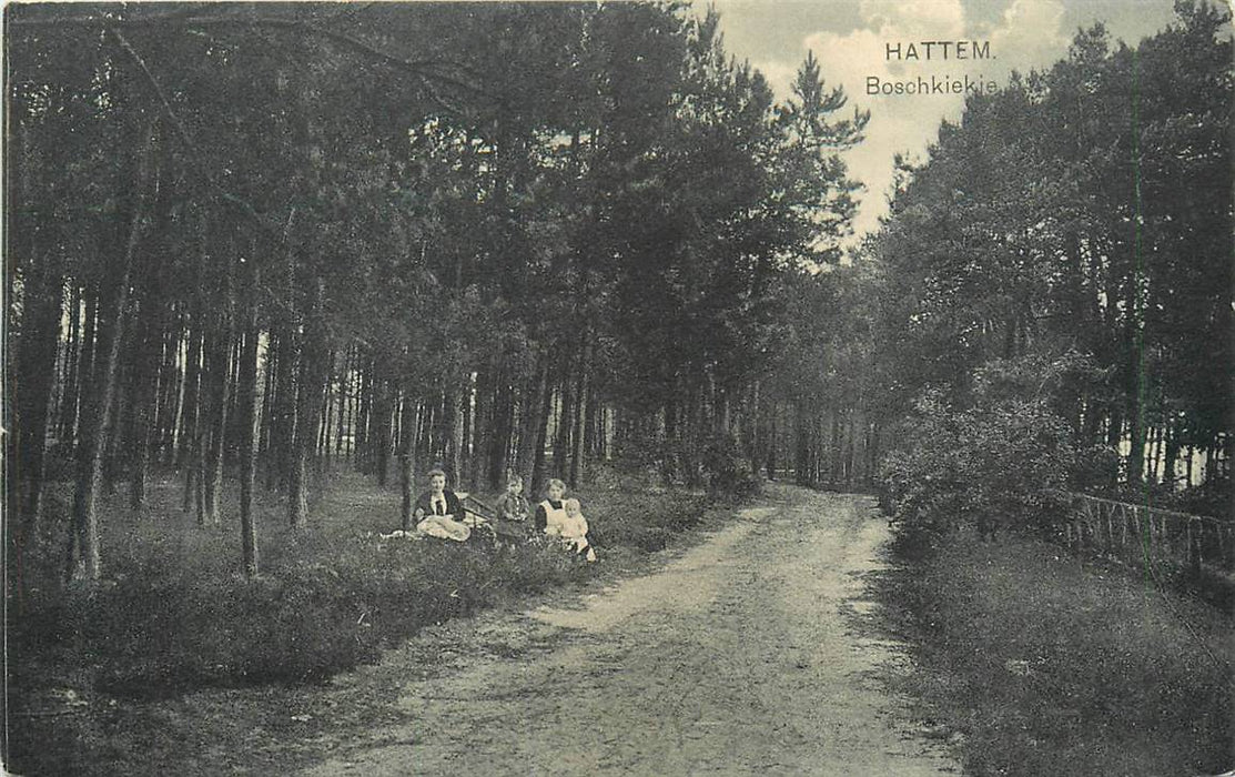 Hattem Boschkiekje